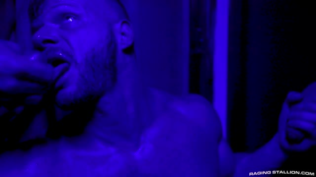 Cock Hunter