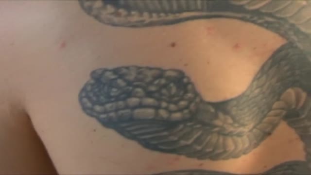 jay snake sexy