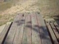 picture cumshot