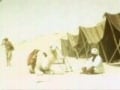 arab movie 