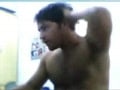 Bear stripping