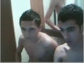 Three Twinks