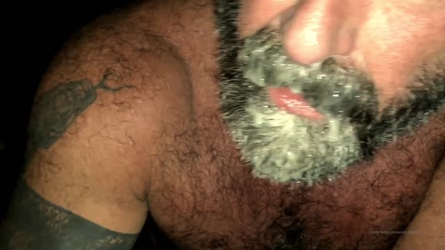 Hot bear