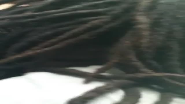 Dreadhead gives head