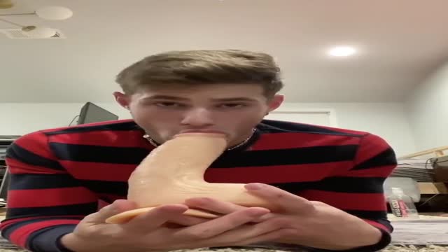 White Dildo - Suck & Play