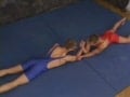 s wrestle