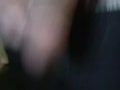 a penis