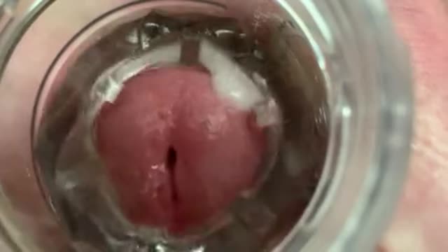 cumming inside a fleshlight @gaffy6 on Twitter