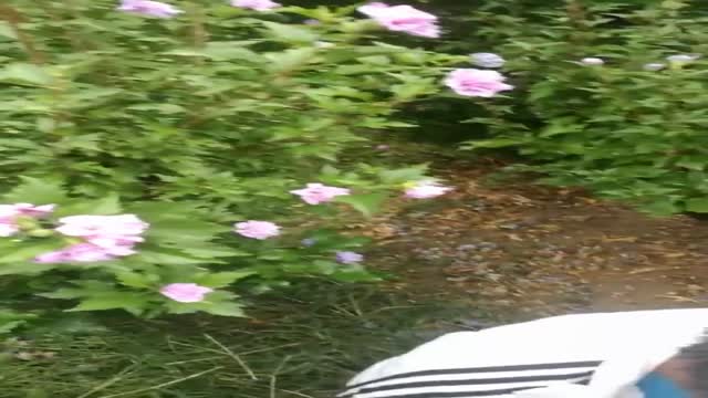 guy gets a blow job