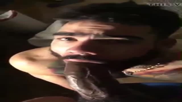  sucking fucking bbc