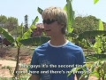 Brazillian Farm Hands 
