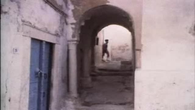 Harem - Movie