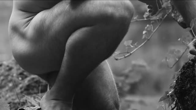 Jugadores de rugby desnudos