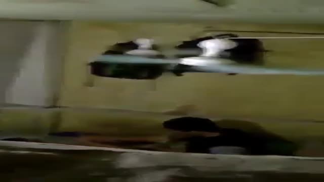 Sex in the Barrack