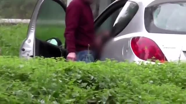 cruising park