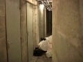 punished in the basement