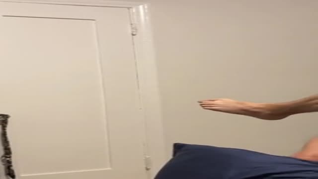 Porn