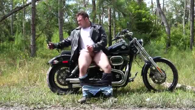 tgs Jack strip