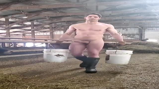 Barn Hunk.