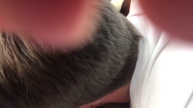 Bareback