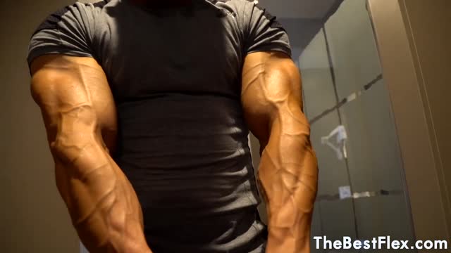 muscle