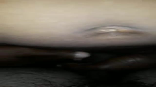 BFW