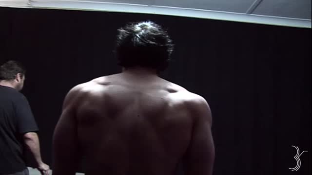 workout muscle
