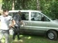 Car Wash