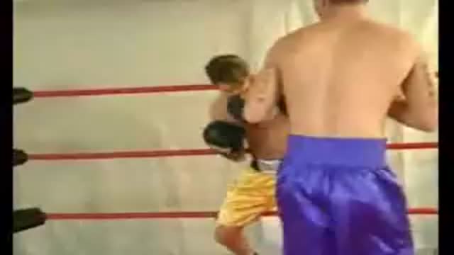 Destiny vs Meadlock