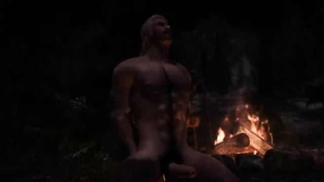 Witcher the wild hunt