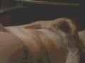 Jerking off