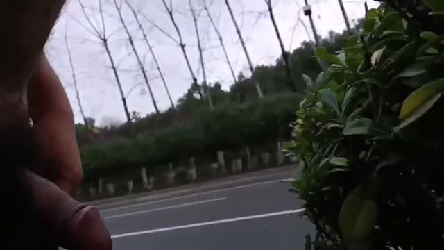 Outside cumming 