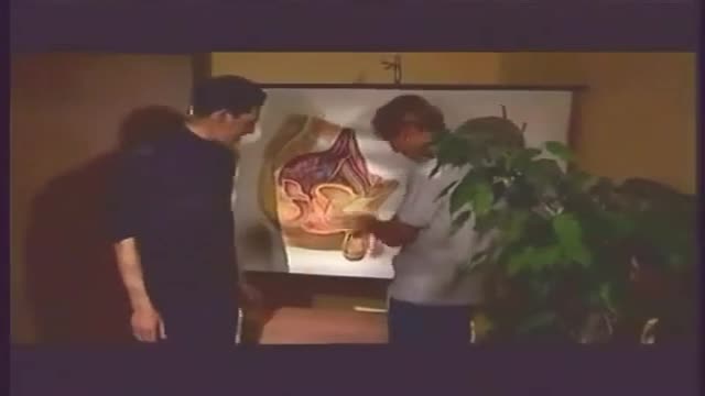 Schoolboys - Anatomy Class 