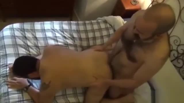  Compiled_from_Bears