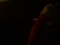 more wanking