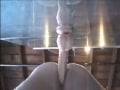 dildo guy