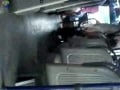 Bus Exhibitionist