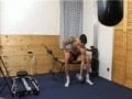 Workout Partners