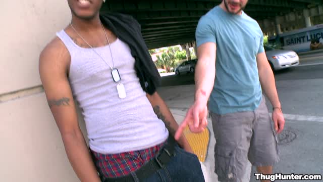 Chees Spread