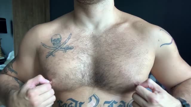 Beautyful bear solo