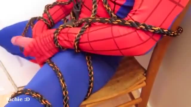 spidey bound