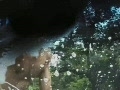 Latin car wash part 1