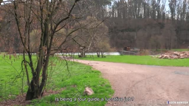 Nice Forest Fuck