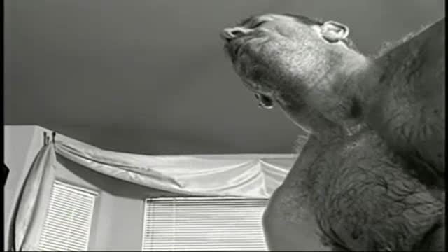 Bear fuck