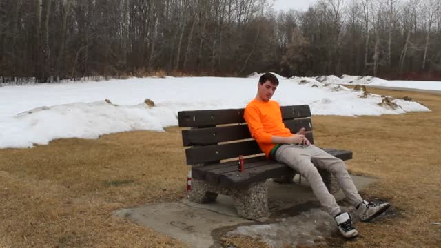 Park Bench B;ow