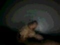 Nice Dick Wank