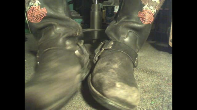 SEAMUS AND BOOTS nuts