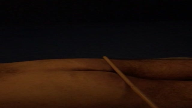Caning a Cambrian arse