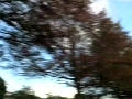 daemeon