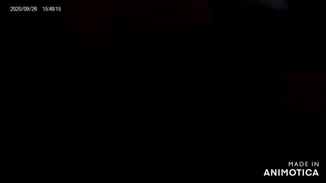 dark foreplay